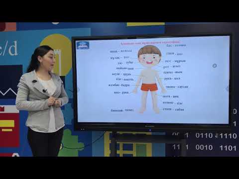 Видео: 7-урок. Адамның дене мүшелері / Части тела человека