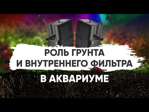 Видео: Роль грунта и внутреннего фильтра в аквариуме. Беседа с Владимиром Ковалёвым