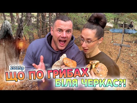 Видео: В пошуках грибного раю 🍄 Які гриби ми знайшли біля Черкас