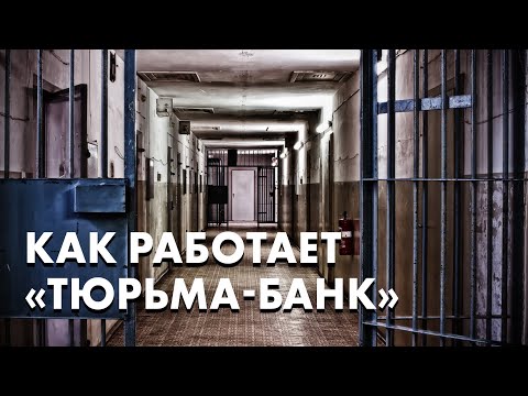 Видео: Как работают «прозвонщики» в тюрьме и кто их крышует