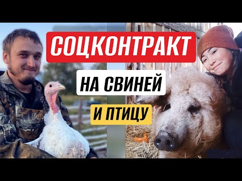 Видео: КАК мы ДВА СОЦКОНТРАКТА заключали: трудности, требования, личный опыт
