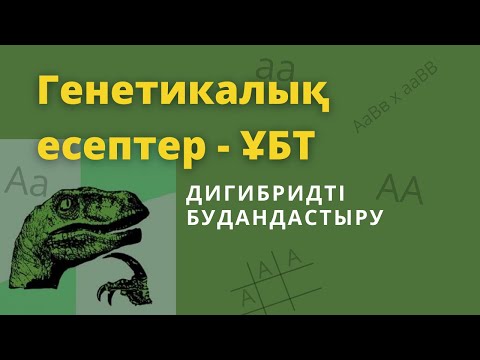 Видео: Дигибридті будандастыру. Генетикалық есептер шешу - ҰБТ қазақша.