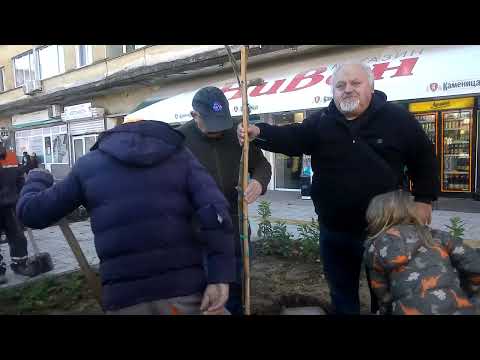 Видео: Да посадим дърво .Комплекс  ,, Хр. Ботев ,, - Габрово . Дядо и внуче за зеленото бъдеще 4К репортаж