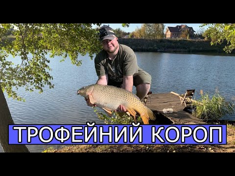 Видео: Впіймали трофейного коропа - озеро Михайлина