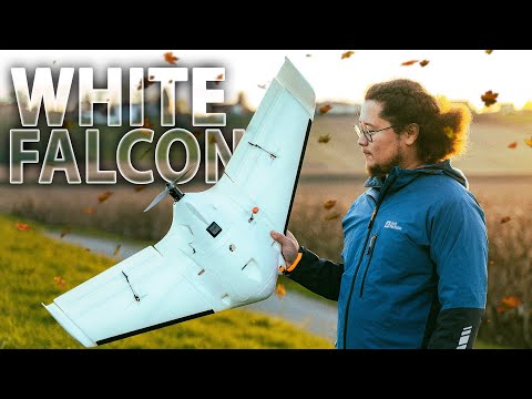 Видео: ☀ Белый сокол - яркий лучик света этой холодной осенью... [SonicModell ArWing PRO White Falcon]