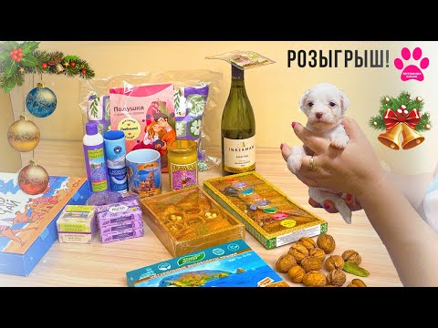 Видео: Розыгрыш призов от Питомника Собак! Орехи с нашего участка! Щенки Китайской-Хохлатой Собаки 14 дней!