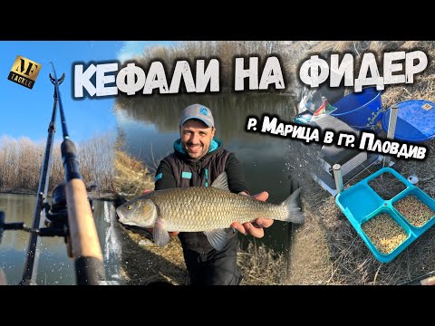 Видео: Кефали с фидер на р Марица в гр Пловдив -  Feeder Fishing