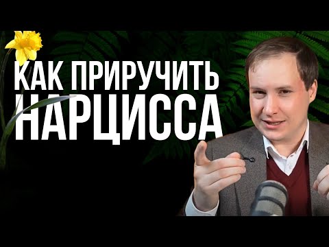 Видео: Как управлять НАРЦИССОМ? Эти 2 метода изменят вашу жизнь!