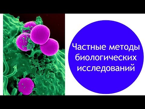 Видео: Частные методы биологических исследований