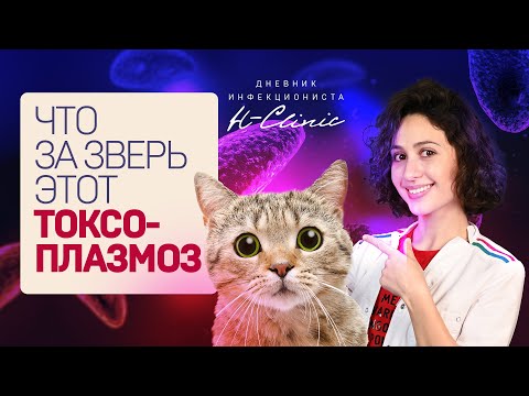 Видео: ТОКСОПЛАЗМОЗ. Чем опасны котики? Лимфоузлы, беременность, головные боли