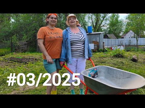 Видео: #03/2025 Купили деревья / Не хватает грядок /