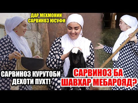 Видео: ДАР МЕХМОНИИ САРВИНОЗ ЮСУФИ / САРВИНОЗ БА ШАВХАР МЕБРОЯД? / САРВИНОЗ КУРУТОБ ПУХТ! (VIDEO 4K)