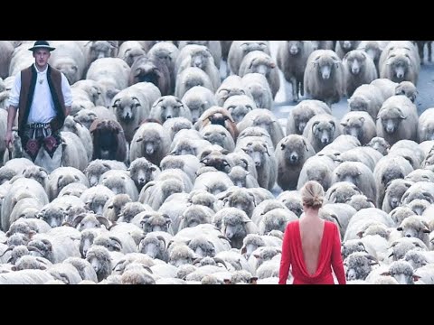 Видео: БЛИЗНАЦИ ~ ВЕЗНИ ~ ВОДОЛЕЙ - Таро за Септември 🍁 🍂