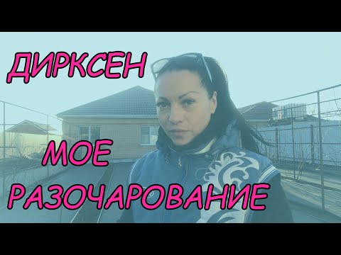 Видео: Дирксен, Вон - сорта которые меня разочаровали