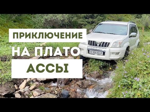 Видео: ПЛАТО АССЫ /приключения