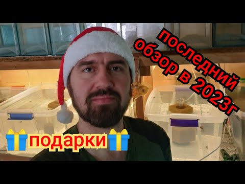 Видео: Обзор всех аквариумов