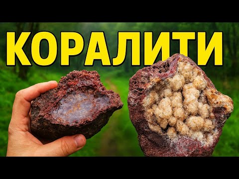 Видео: Коралити от древно море в Родопите.