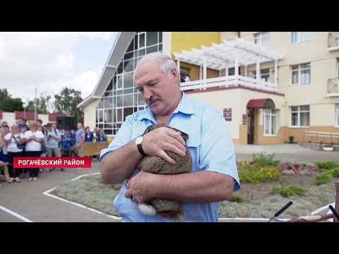 Видео: Лукашенко: Ты мне кролика принесла! Вам не жалко мне его?