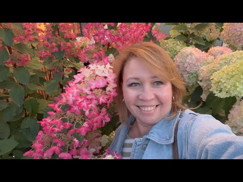 Видео: Влог. Купила платье 👗ТЦ Мега. Магазины LIME, RE, Mango, LOVE Republic. Суши. Сентябрь 2025