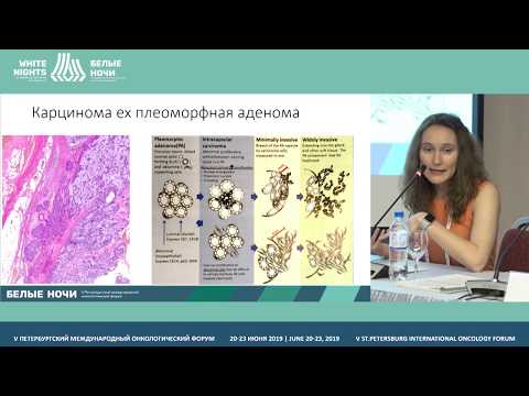 Видео: Слюнные железы, морфологическая характеристика (Артемьева А.С.)