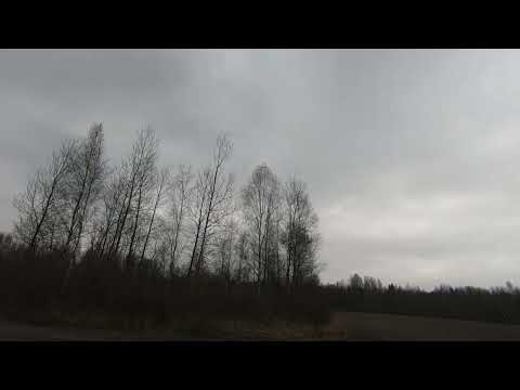 Видео: Часть 1. Прогулка по осенним полям и лесам.