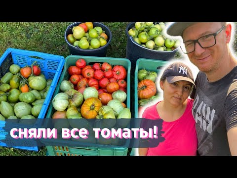 Видео: Незапланированный сбор урожая | КУПИЛ ДАЧУ В ГЕРМАНИИ #42