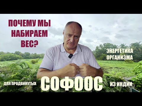 Видео: СОФООС  ПОЧЕМУ МЫ НАБИРАЕМ ВЕС?