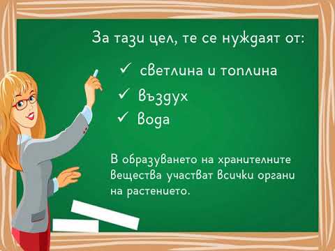 Видео: Хранене на растенията, 3 клас