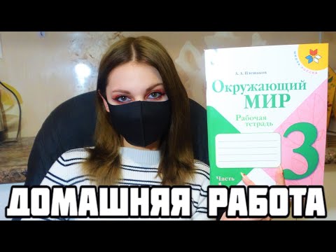Видео: Проверяю рабочие тетради по окружающему миру -3 класс #1