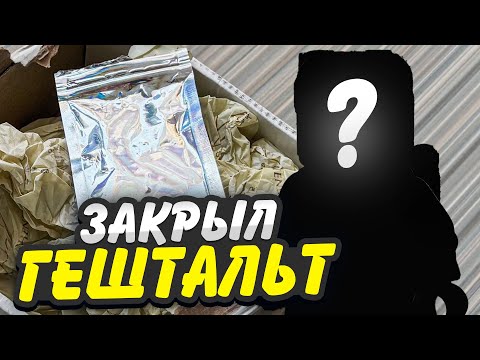 Видео: КАСТОМАЙЗЕР ОПЯТЬ ВЕРНУЛСЯ? ЗАКРЫВАЮ ГЕШТАЛЬТ | Распаковка