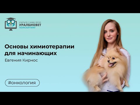 Видео: Основы химиотерапии для начинающих, Евгения Кирнос