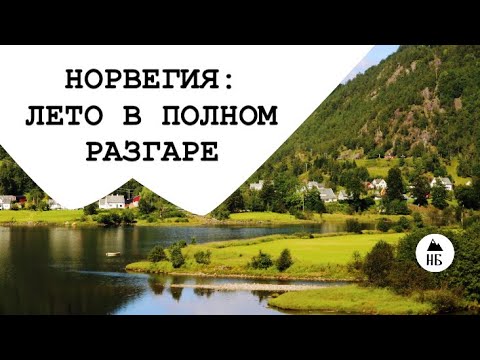 Видео: Норвегия. Лето в полном разгаре.