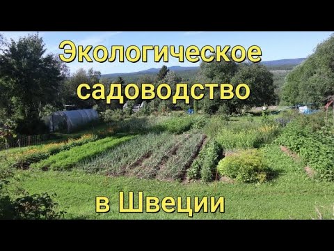 Видео: Экологическое садоводство в Швеции