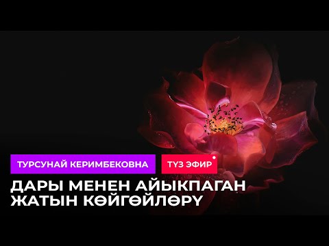 Видео: ТҮЗ ЭФИР: Дары менен айыкпаган жатын көйгөйлөрү