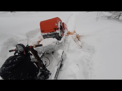 Видео: Застрял в лесу.Мотобуксировщик подвёл меня. мотобуксировщик гепард LONG15