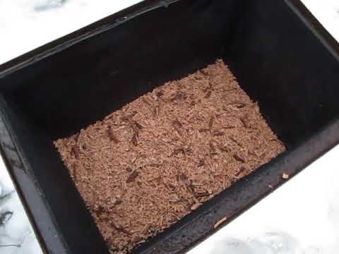 Видео: Коптимо кролика і РОЗІГРАШ КРОЛИКА!!!