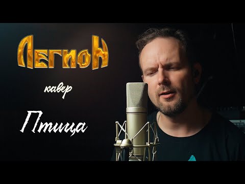 Видео: Птица - Легион (кавер) Vocaluga