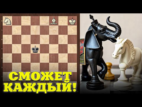 Видео: Мат Конем и Слоном - Самый Простой и Понятный Метод!