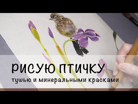 Видео: Рисую воробья на цветах ириса