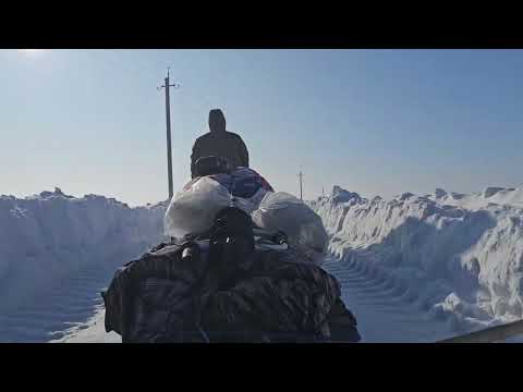 Видео: Февраль 2025, обкатал мотособаку, зимняя рыбалка