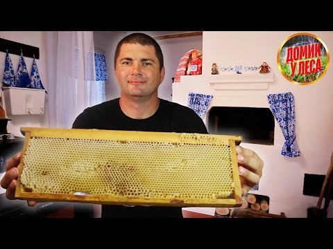 Видео: ЖИЗНЬ В ГЛУШИ У ЛЕСА. Как мы получаем мед от пчел шаг за шагом!