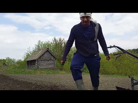 Видео: Вспашка огорода мотоблоком 2025.!!!
