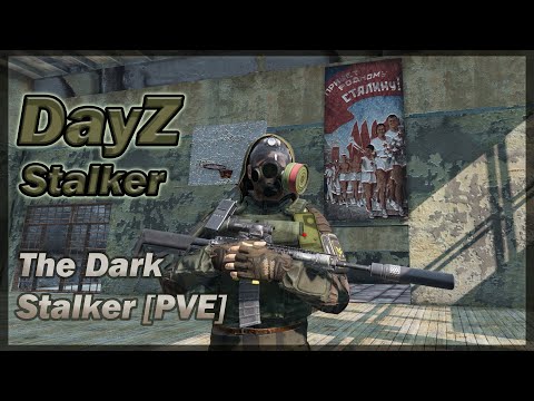 Видео: DayZ Stalker. Сервер The Dark Stalker [PVE]  Продолжаю задания группировок! #38