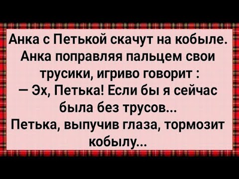 Видео: Как Анка с Петькой На Кобыле Скачут! Сборник Свежих Анекдотов! Юмор!