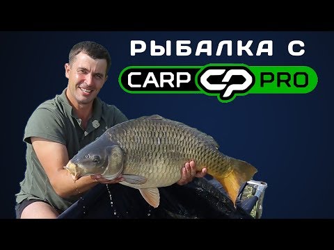 Видео: Поймал крупного десяти килограммового карпа! Ночная рыбалка с Carp Pro на водоеме "Орлеан"!