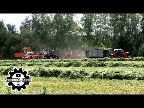 Видео: Заготовка сенажа - 2025. Весь процесс от косилки до  отвоза. Липецкая область