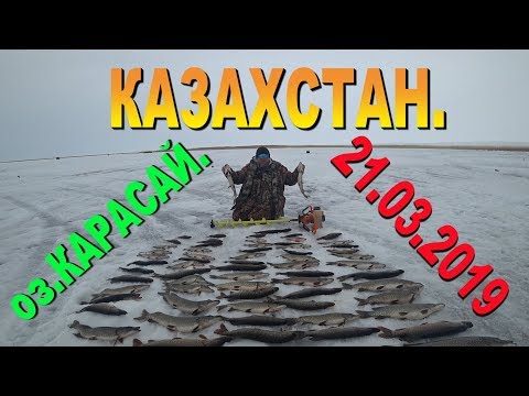 Видео: РЫБАЛКА.оз КАРАСАЙ.22.03.2019 КАЗАХСТАН.