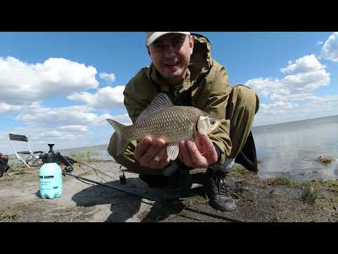 Видео: Уелги 2025. Фидерная рыбалка.