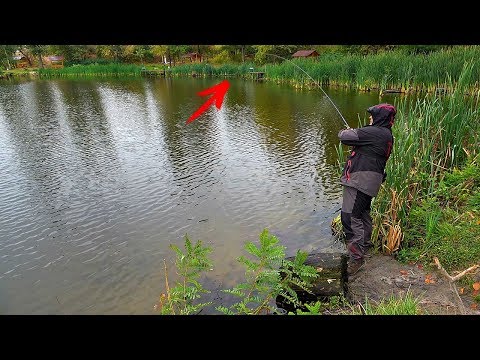 Видео: Такого паровоза я не ожидал! Какой то монстр вырывает спиннинг из рук!