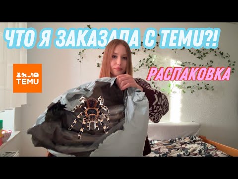 Видео: Большая посылка с Temu — вещи на осень!